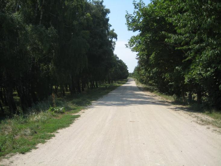 Поліське з panoramio.com - Полесское