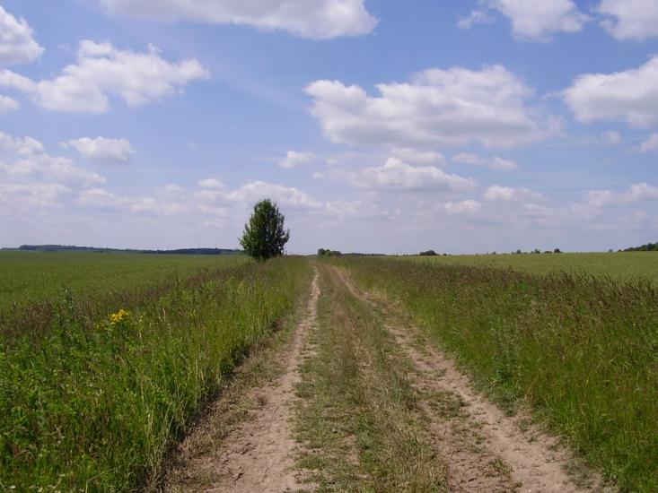 Красносілка з panoramio.com - Красносілка