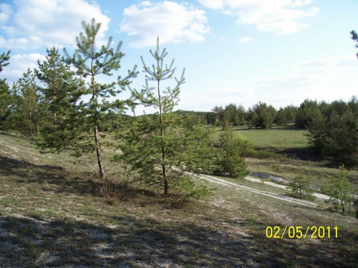Пискунівка з panoramio.com - Pyskunivka