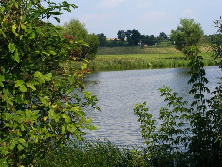 Примощаниця з panoramio.com - Примощаниця