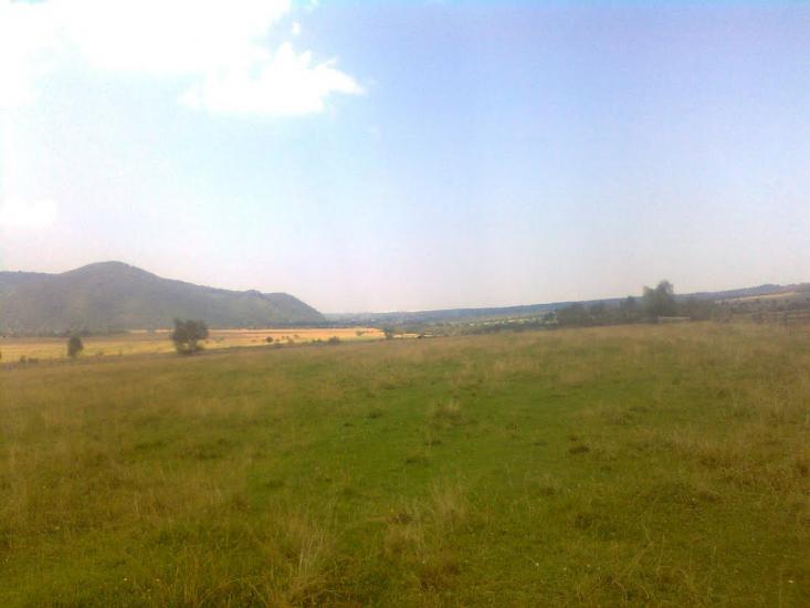 Старий Мізунь з panoramio.com - Старый Мизунь