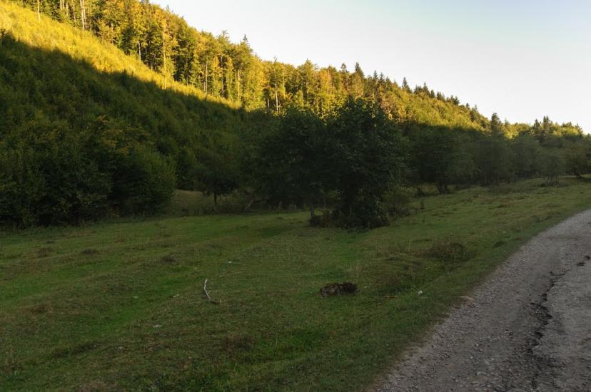 Пашківці з panoramio.com - Пашківці