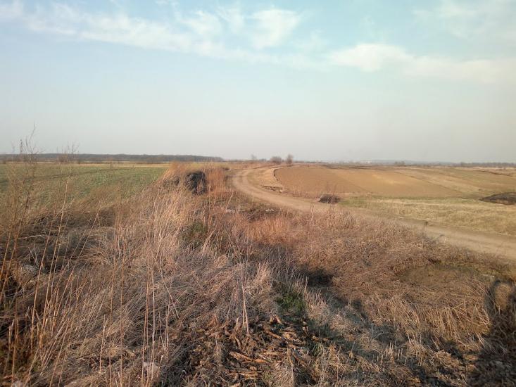 Пиняни з panoramio.com - Пыняны