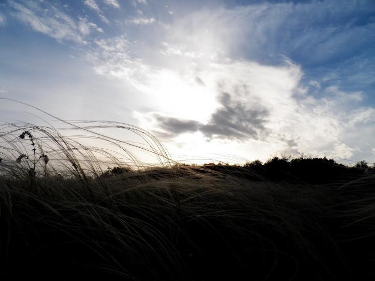 Біле з panoramio.com - Bile