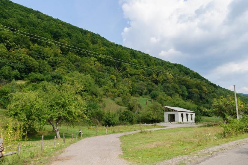 Костринська Розтока з panoramio.com - Костринська Розтока