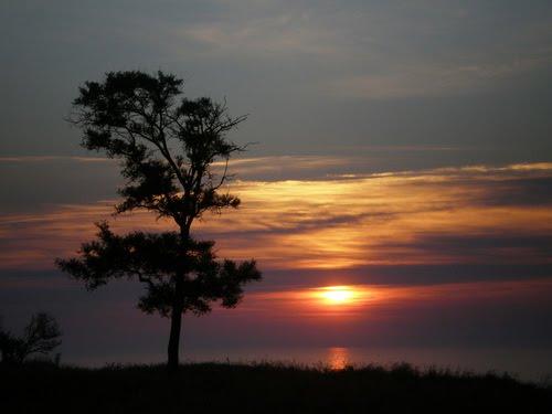 Курортне з panoramio.com - Курортне