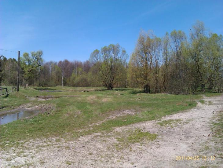 Облапи з panoramio.com - Oblapy