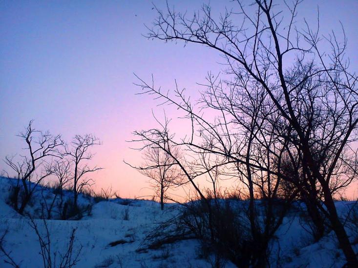 Суворове з panoramio.com - Suvorove
