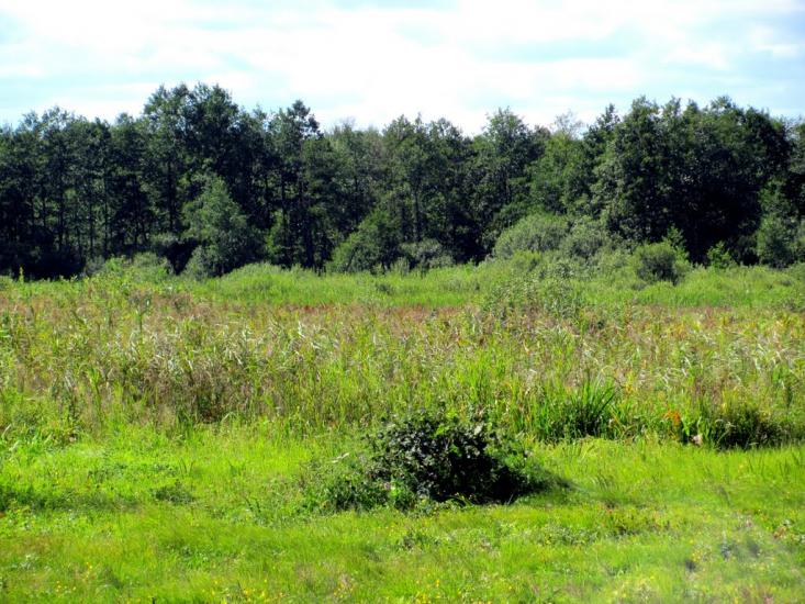 Рудка з panoramio.com - Рудка