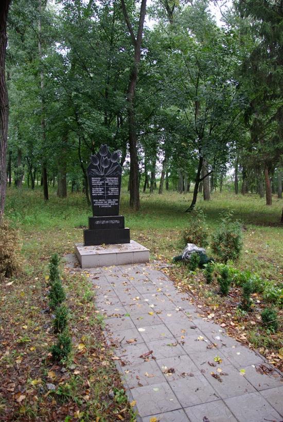 Ріпки з panoramio.com - Ripky