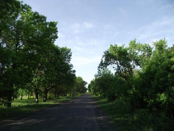 Червонопартизанськ з panoramio.com - Червонопартизанськ