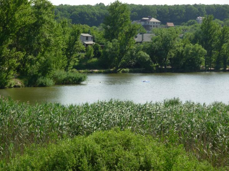 Високий з panoramio.com - Високий