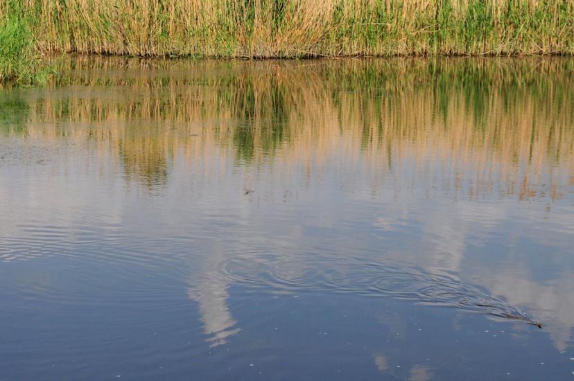 Валове з panoramio.com - Софиевка