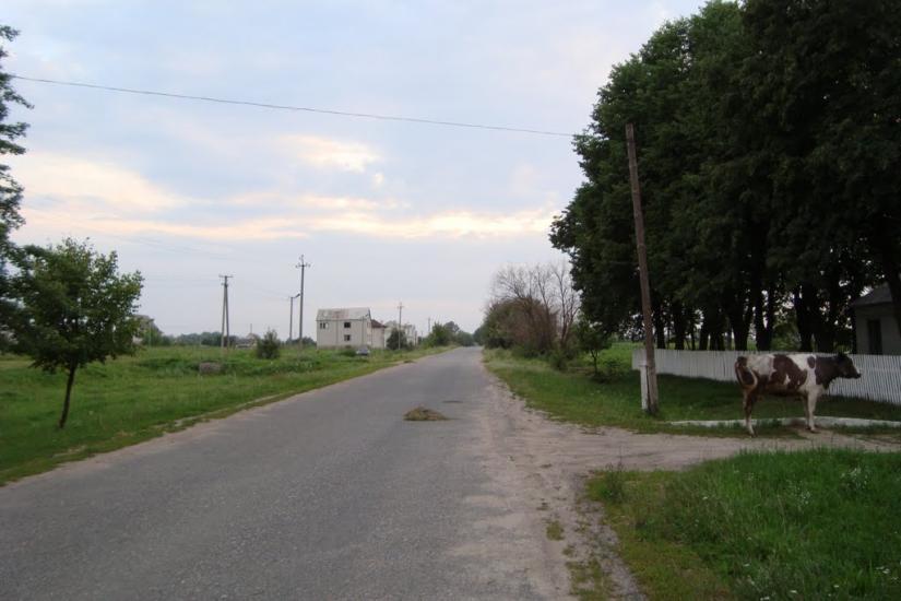 Заріччя з panoramio.com - Заріччя