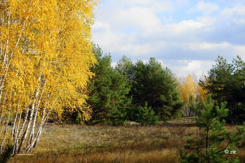 Пологи-Низ з panoramio.com - Пологи-Низ