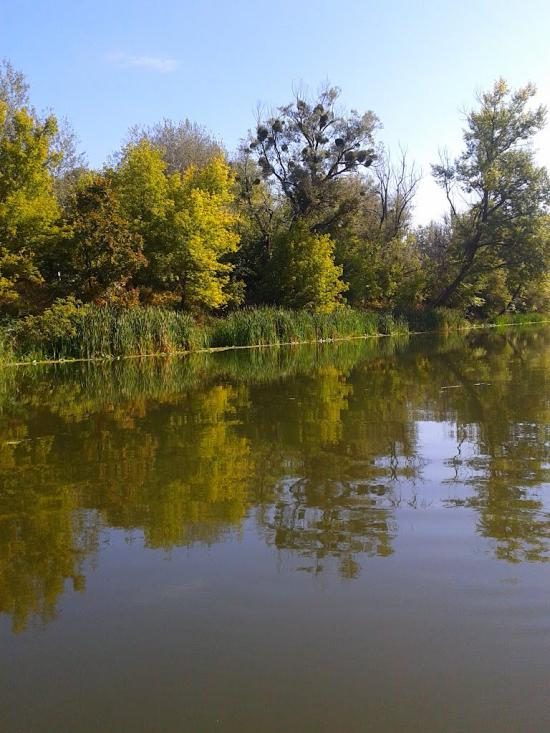 Синичине з panoramio.com - Synychyne