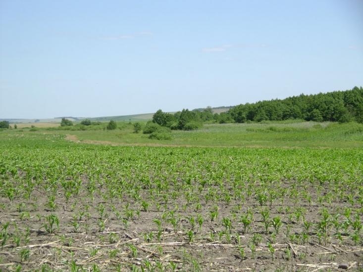 Брагинці з panoramio.com - Брагинці