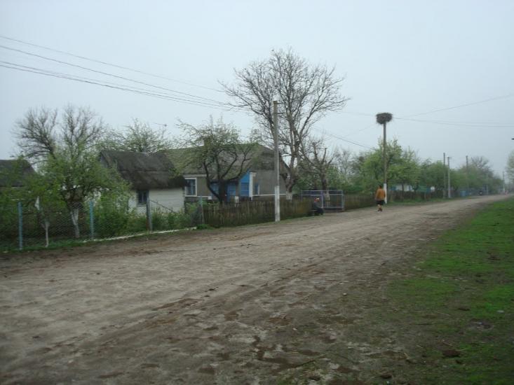 Дроздні з panoramio.com - Дроздні