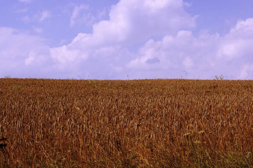 Браїлівка з panoramio.com - Браїлівка