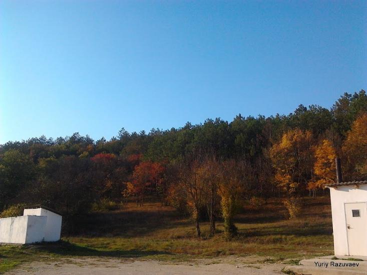 Земляничне з panoramio.com - Zemlyanychne