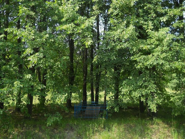 Березневе з panoramio.com - Березневе