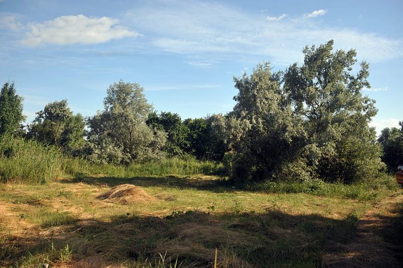 Олександро-Калинове з panoramio.com - Oleksandro-Kalynove