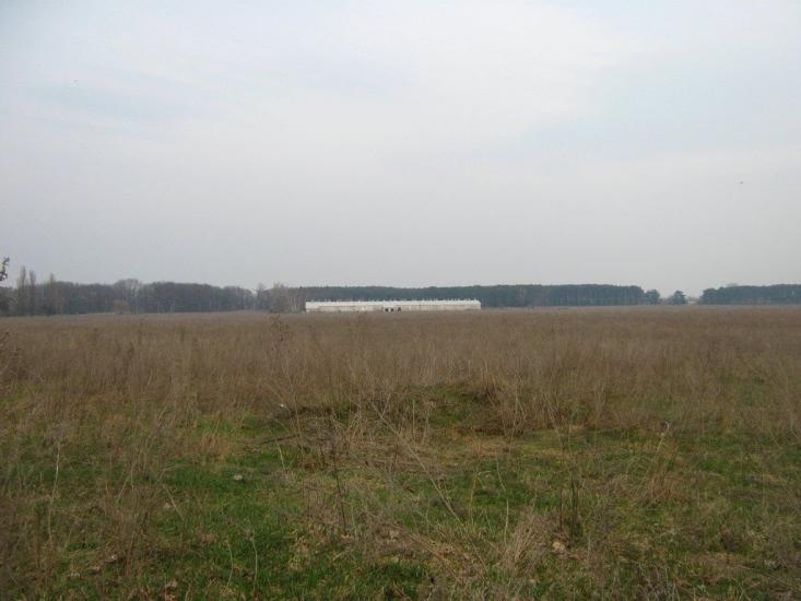 Богданівка з panoramio.com - Богданівка