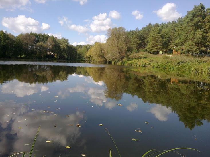 Блиставиця з panoramio.com - Блиставиця