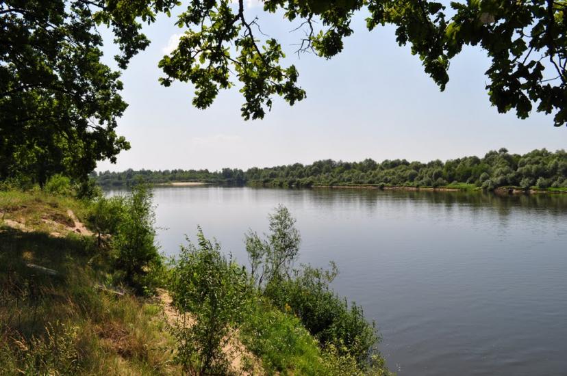 Скиток з panoramio.com - Скиток
