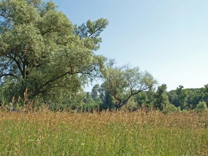 Буланове з panoramio.com - Bulanove