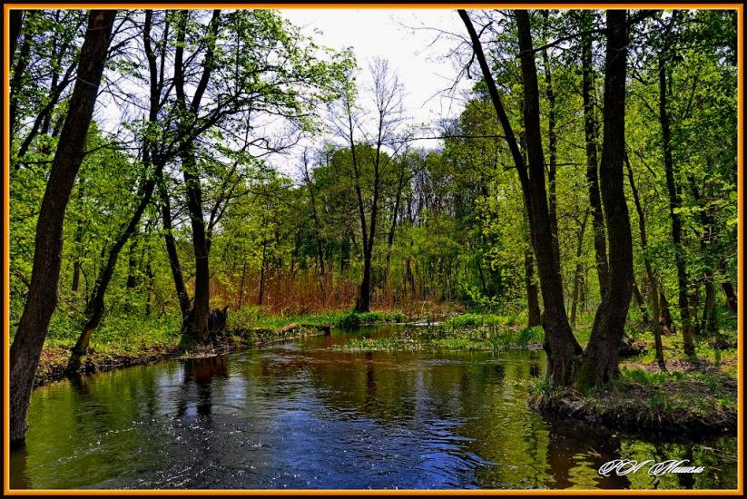 Серебрянка з panoramio.com - Серебрянка