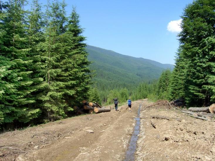 Згари з panoramio.com - Згары