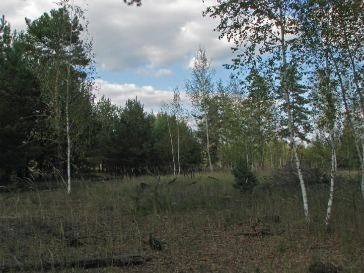 Жирки з panoramio.com - Жирки