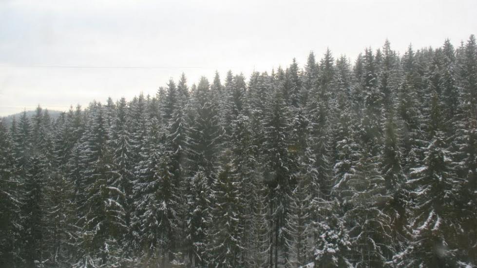 Опорець з panoramio.com - Опорец