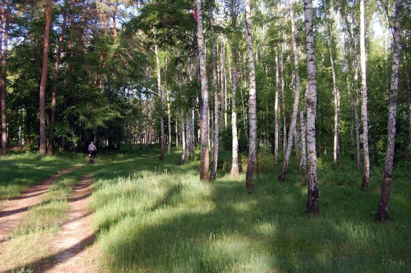 Привілля з panoramio.com - Pryvillya