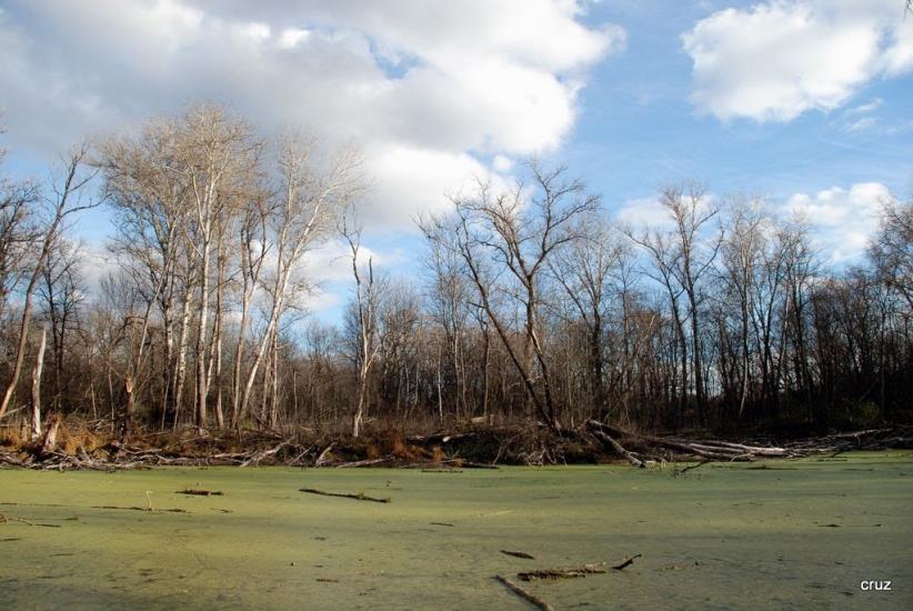 Великий Тростянець з panoramio.com - Velykyy Trostyanets