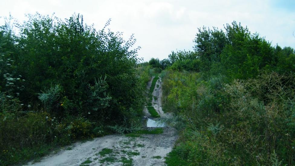 Дзержинське з panoramio.com - Дзержинское