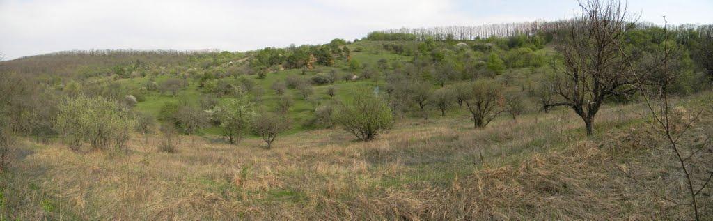 Івангород з panoramio.com - Ивангород