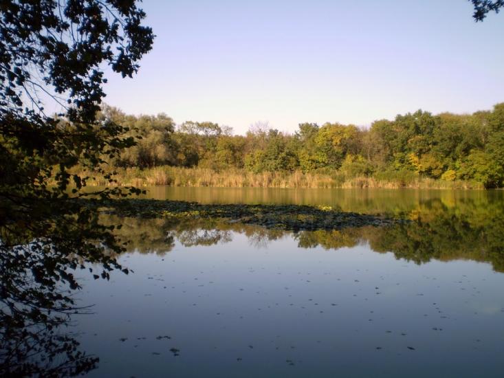 Підлісне з panoramio.com - Pidlisne