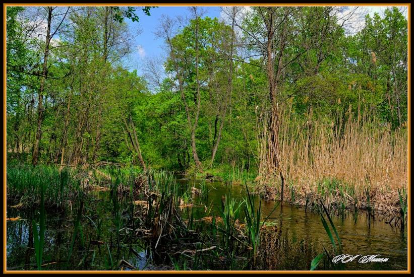 Серебрянка з panoramio.com - Серебрянка