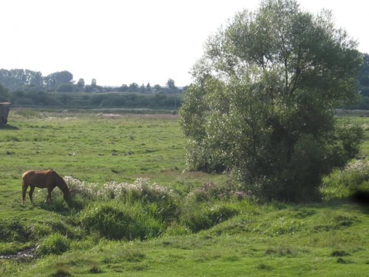Іванопіль з panoramio.com - Іванопіль