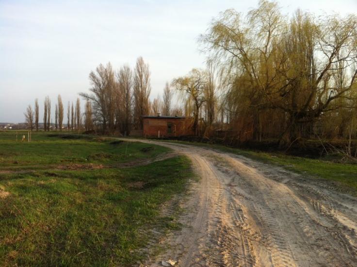 Мироцьке з panoramio.com - Мироцьке