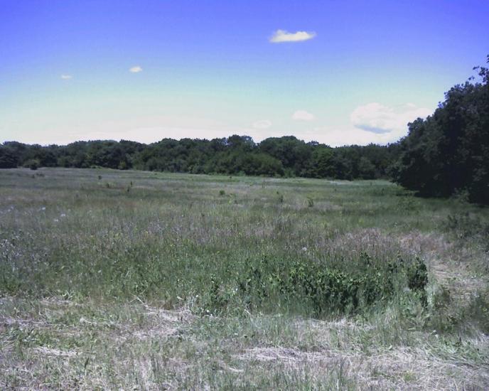Кизилівка з panoramio.com - Кизиловка