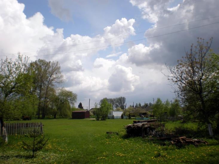Облапи з panoramio.com - Oblapy