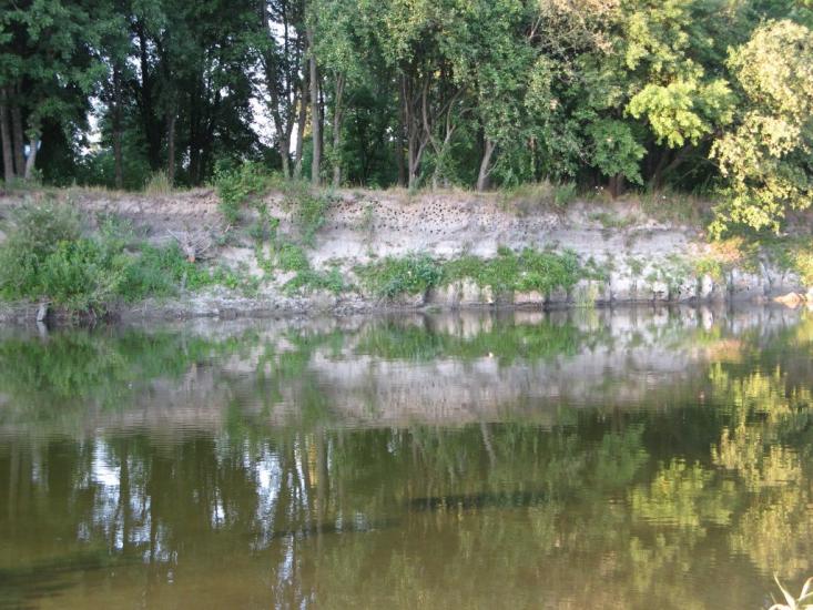 Озаричі з panoramio.com - Озаричи