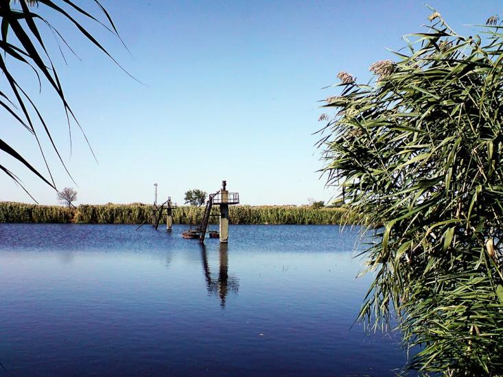 Ларине з panoramio.com - Ларине