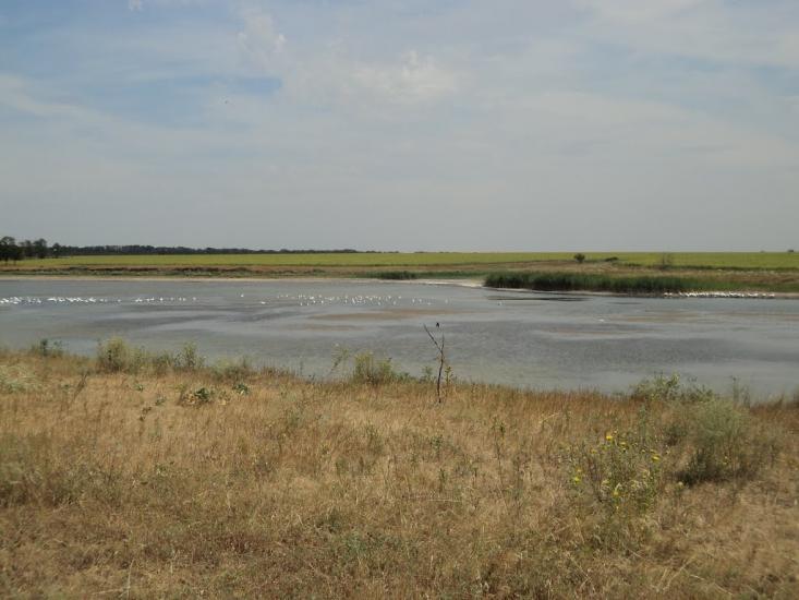 Баштанка з panoramio.com - Баштанка