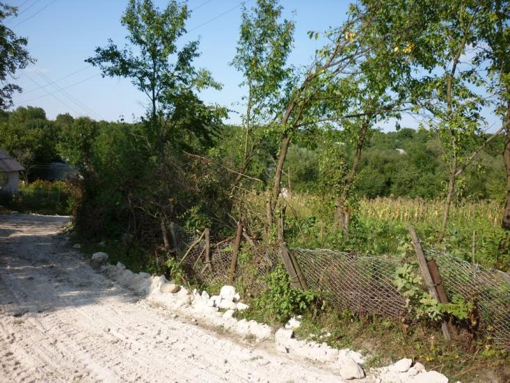Любомирівка з panoramio.com - Любомировка