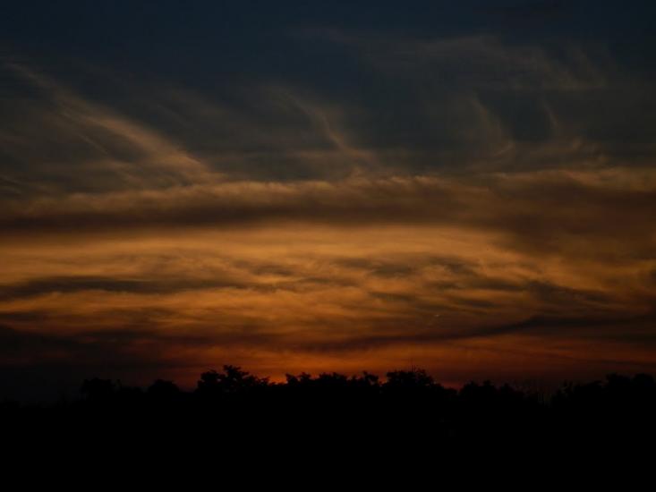 Козацьке з panoramio.com - Козацьке