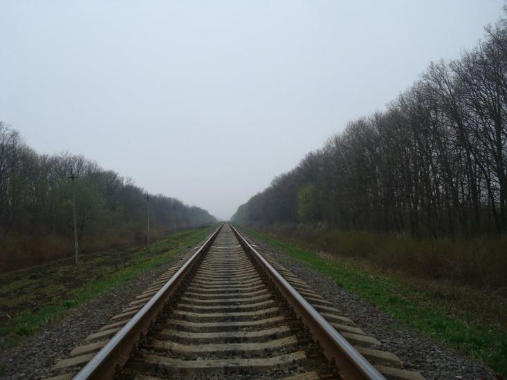 Пашківці з panoramio.com - Пашковцы